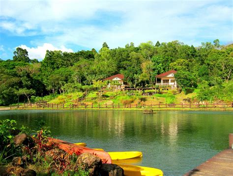 cities of negros occidental|Things to Do in Negros Occidental .